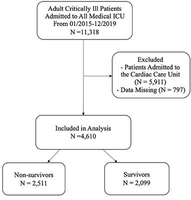 A Positive Fluid Balance in the First Week Was Associated With Increased Long-Term Mortality in Critically Ill Patients: A Retrospective Cohort Study